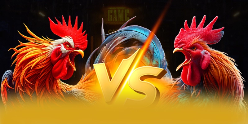 8XBET - Cổng cá cược mượt mà trên thị trường 8XBET - Cổng cá cược mượt mà trên thị trường
