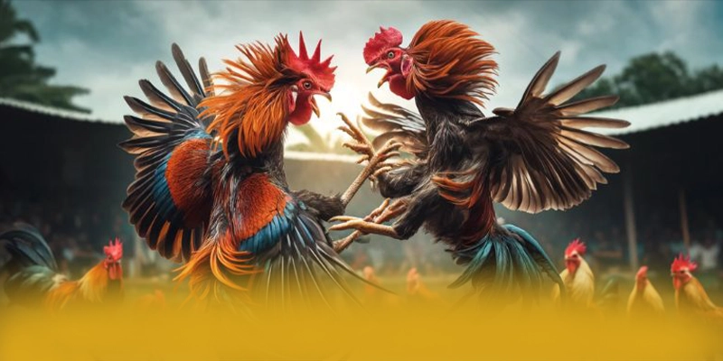 Khám phá 8xbet - Cổng giải trí đẳng cấp hiện nay