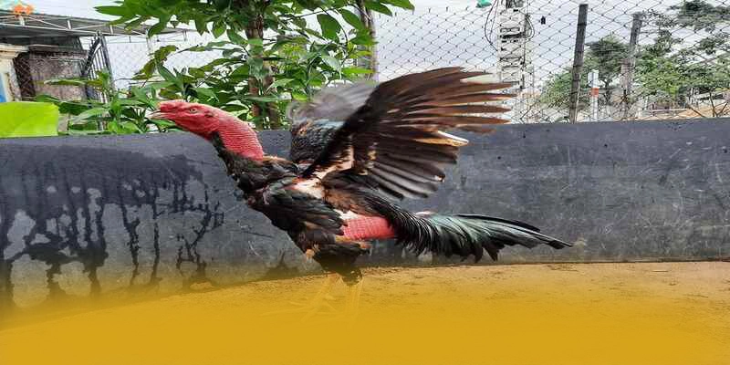 8XBET - Cổng game bài tối ưu số 1 Việt Nam